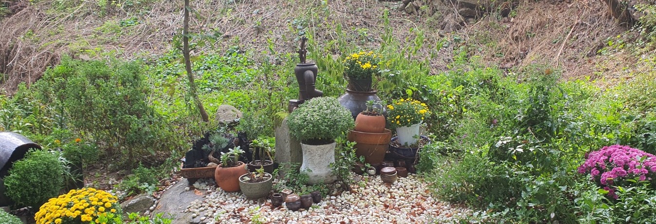 항존직(권사) 선거 / 겨울수련회(청소년부) / 재의 수요일